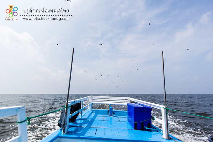 ท้ายเรือ นั่งถ่ายรูปตรงนี้ก็สวยดี แต่นั่งนานๆ ร้อนนนนน