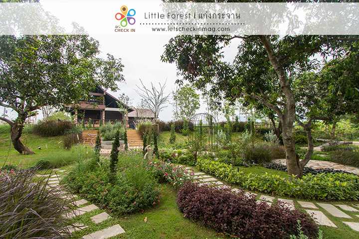 little_forest_006