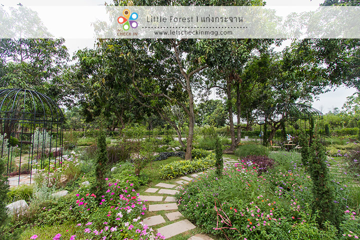 little_forest_007