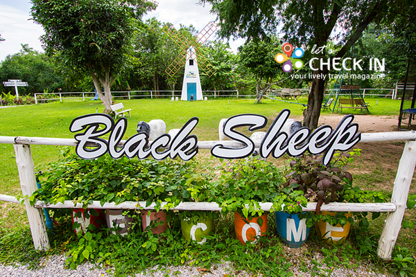 Black Sheep Farm