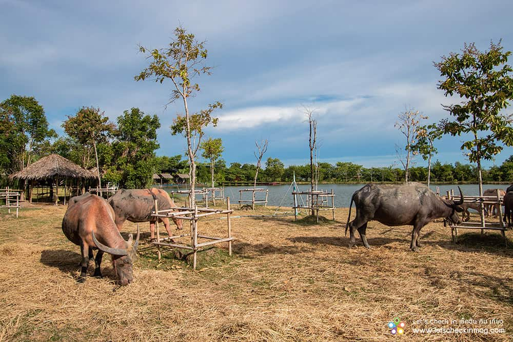 เที่ยวราชบุรี