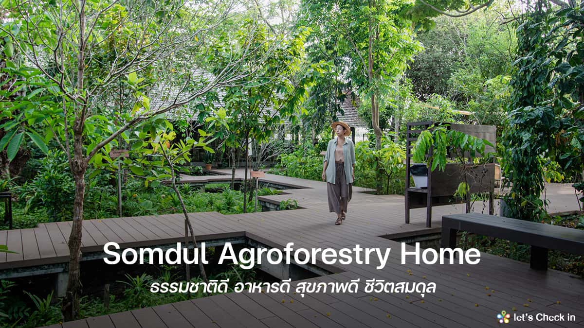 Somdul Agroforestry Home : ธรรมชาติดี อาหารดี สุขภาพดี ชีวิตสมดุล